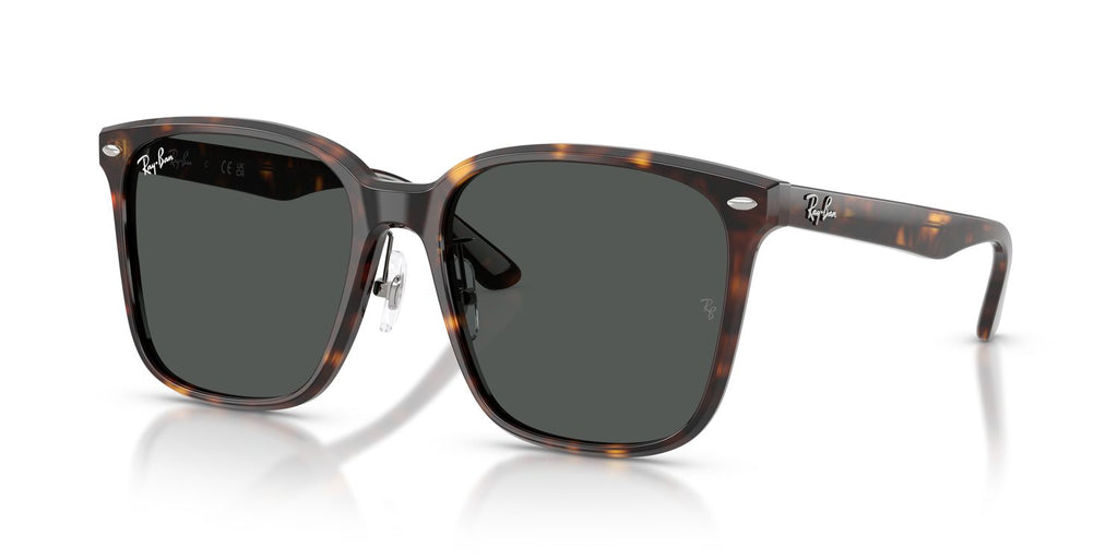 Ray-Ban | 0RB2206D