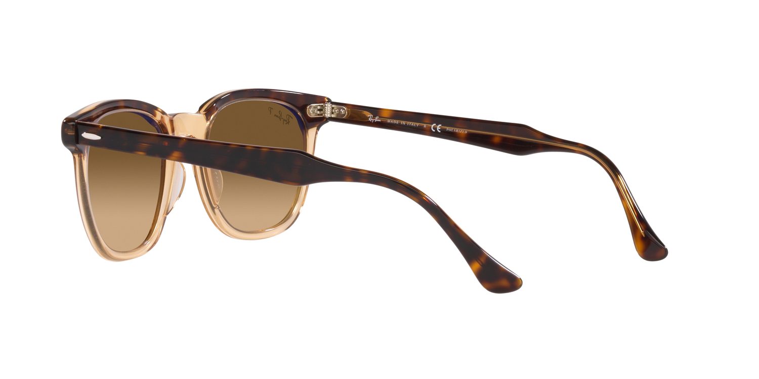 Ray-Ban | 0RB2298