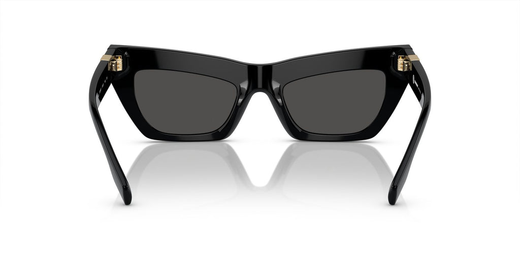 Burberry | 0BE4405