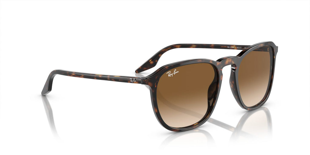 Ray-Ban | 0RB2203