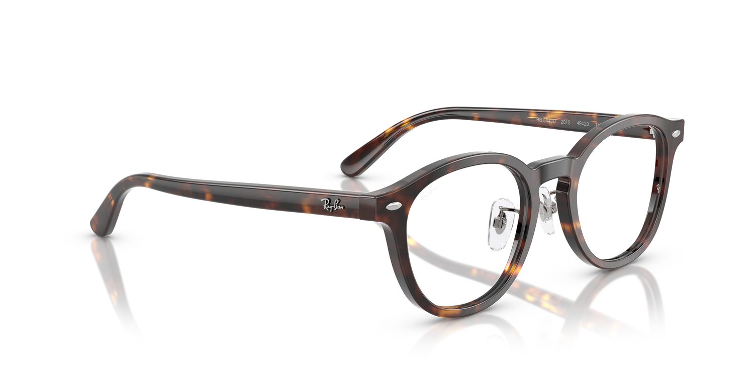 Ray-Ban | 0RX5443D (0RX5443D)
