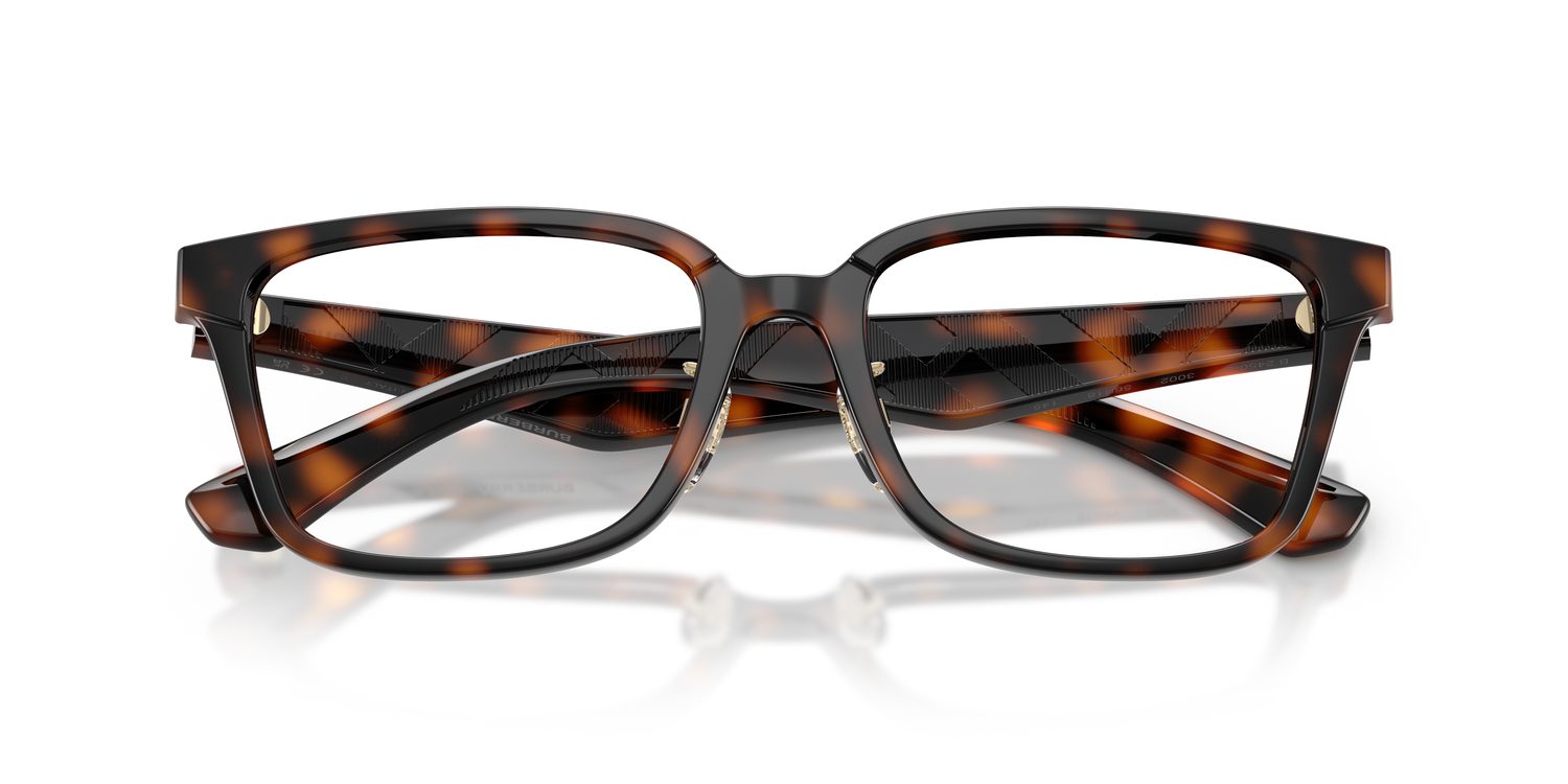 Burberry | 0BE2450D