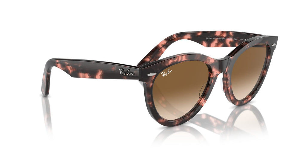 Ray-Ban | 0RB2241