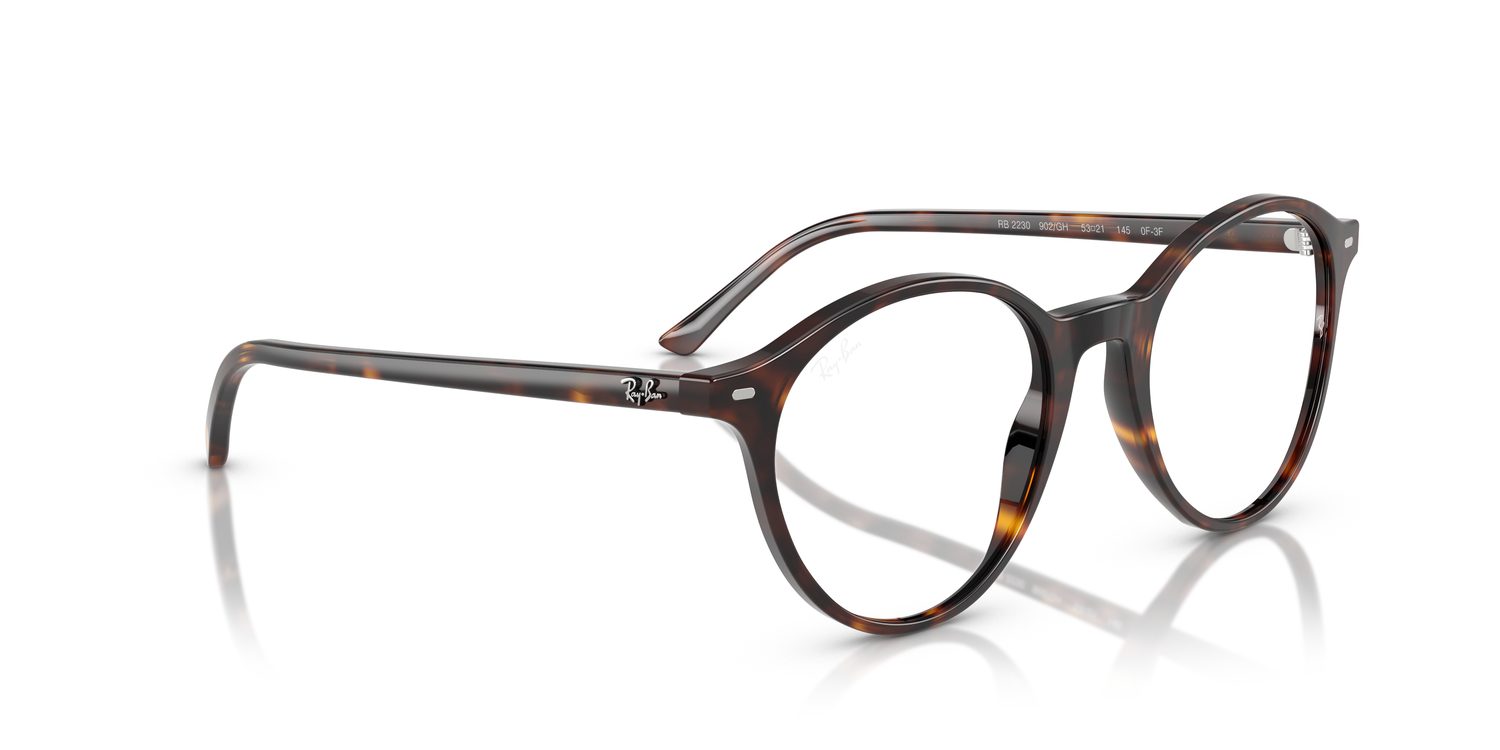 Ray-Ban | 0RB2230
