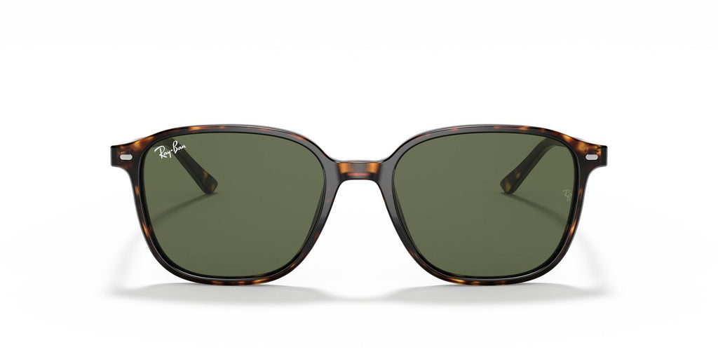 Ray-Ban | 0RB2193