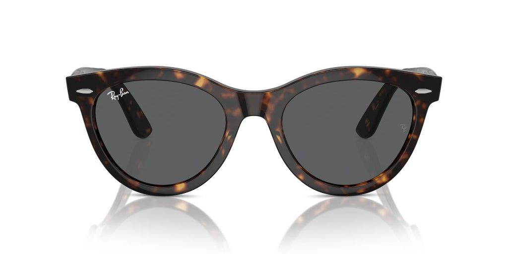 Ray-Ban | 0RB2241