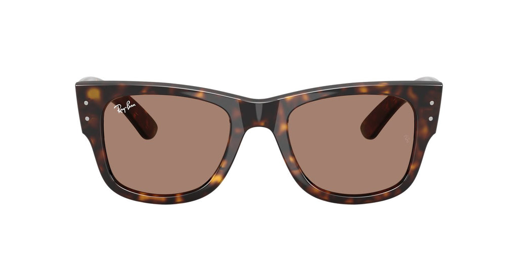 Ray-Ban | 0RB0840S