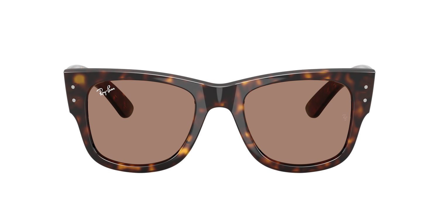 Ray-Ban | 0RB0840S