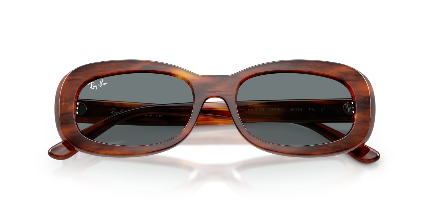 Ray-Ban | 0RB2221