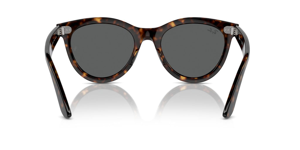 Ray-Ban | 0RB2241