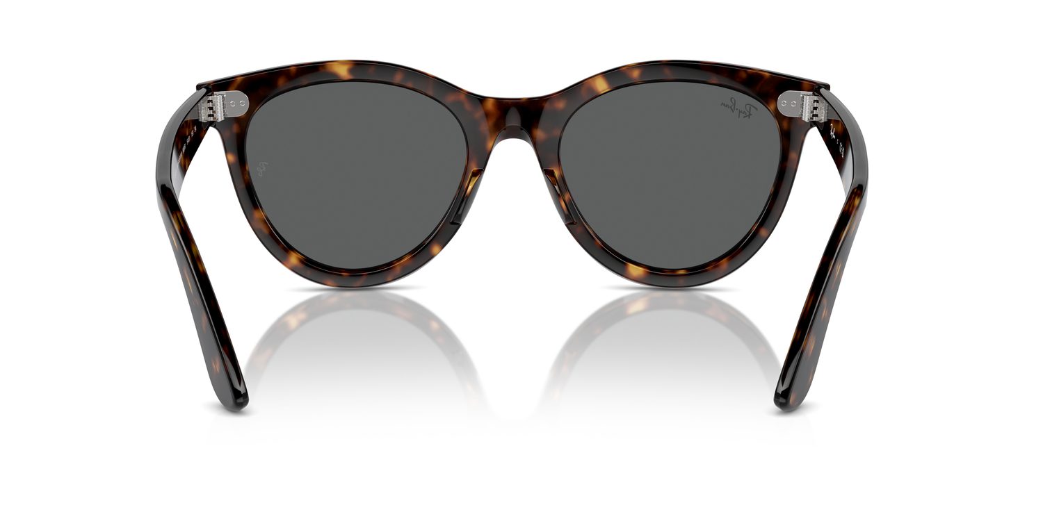 Ray-Ban | 0RB2241