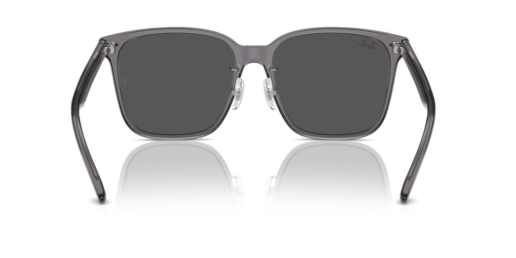 Ray-Ban | 0RB2206D