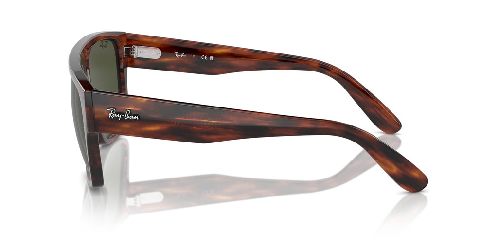 Ray-Ban | 0RB0360S