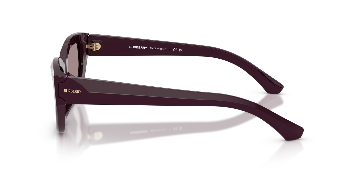 Burberry | 0BE4463D