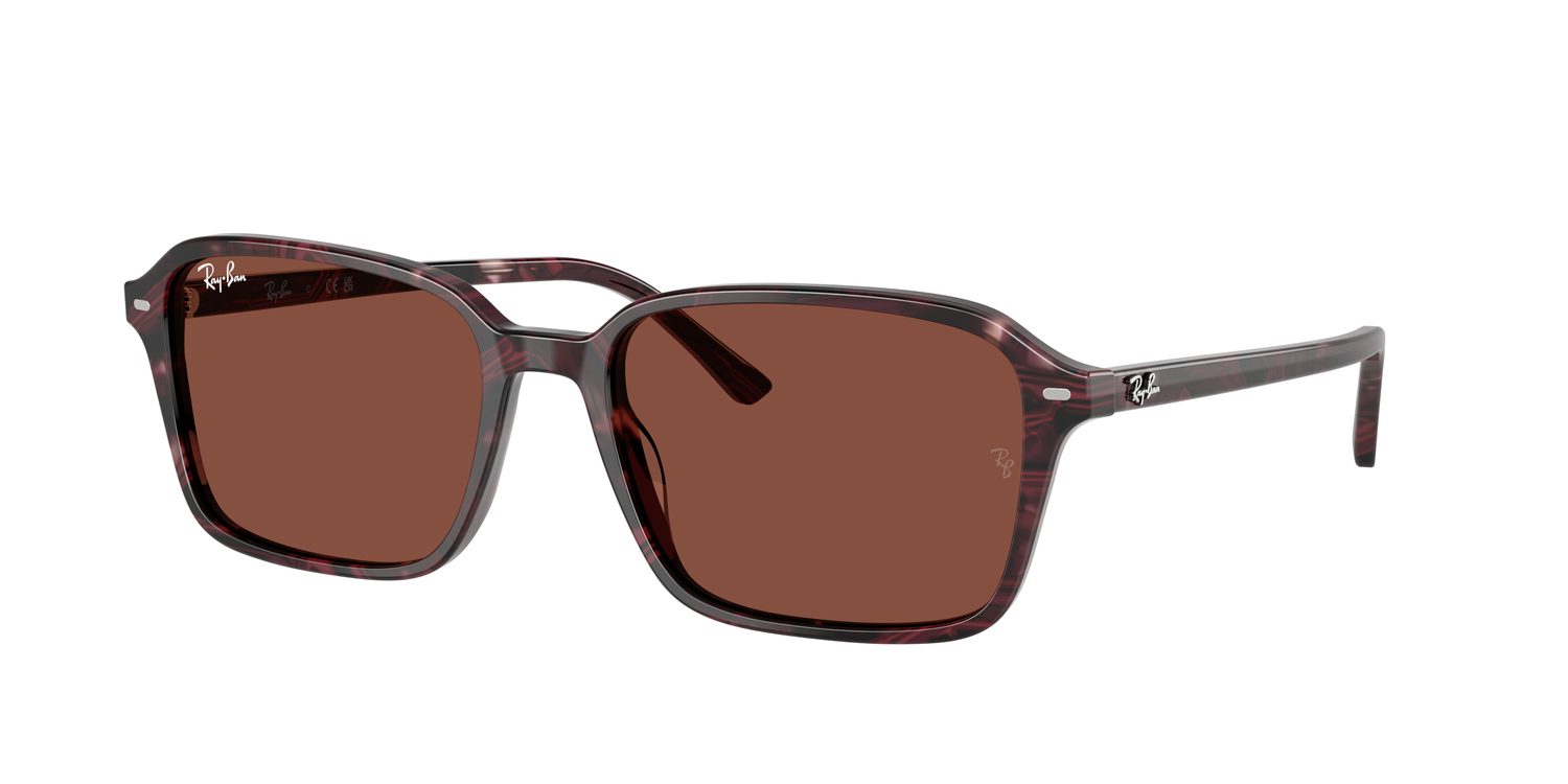 Ray-Ban | 0RB2231