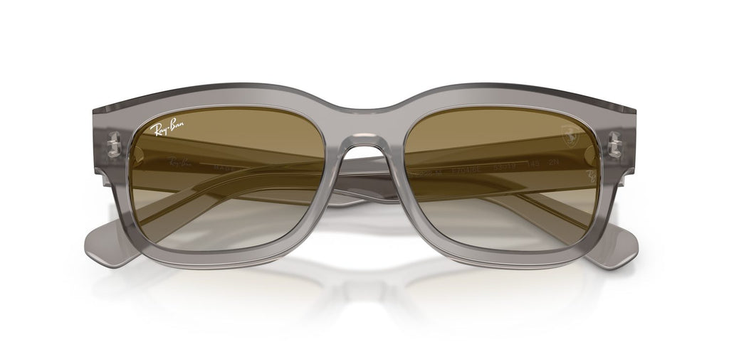Ray-Ban | 0RB2228M