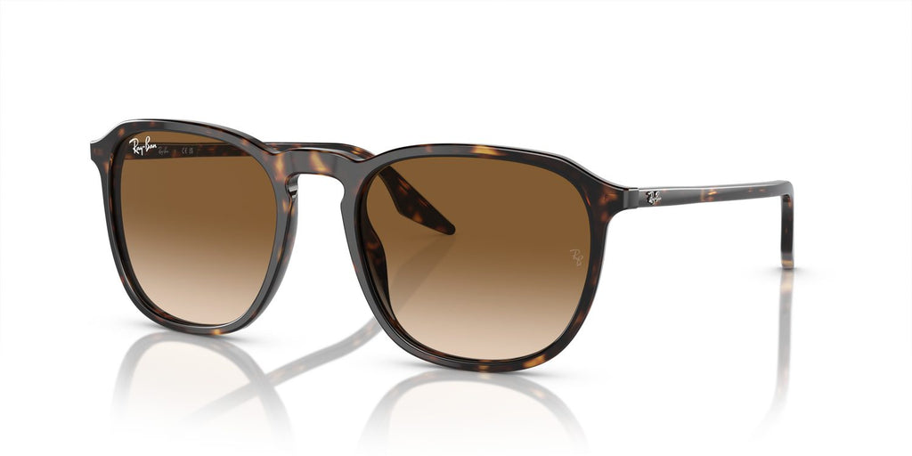 Ray-Ban | 0RB2203