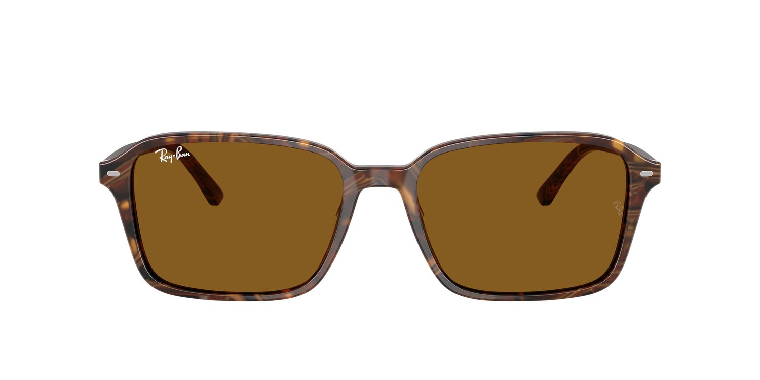 Ray-Ban | 0RB2231