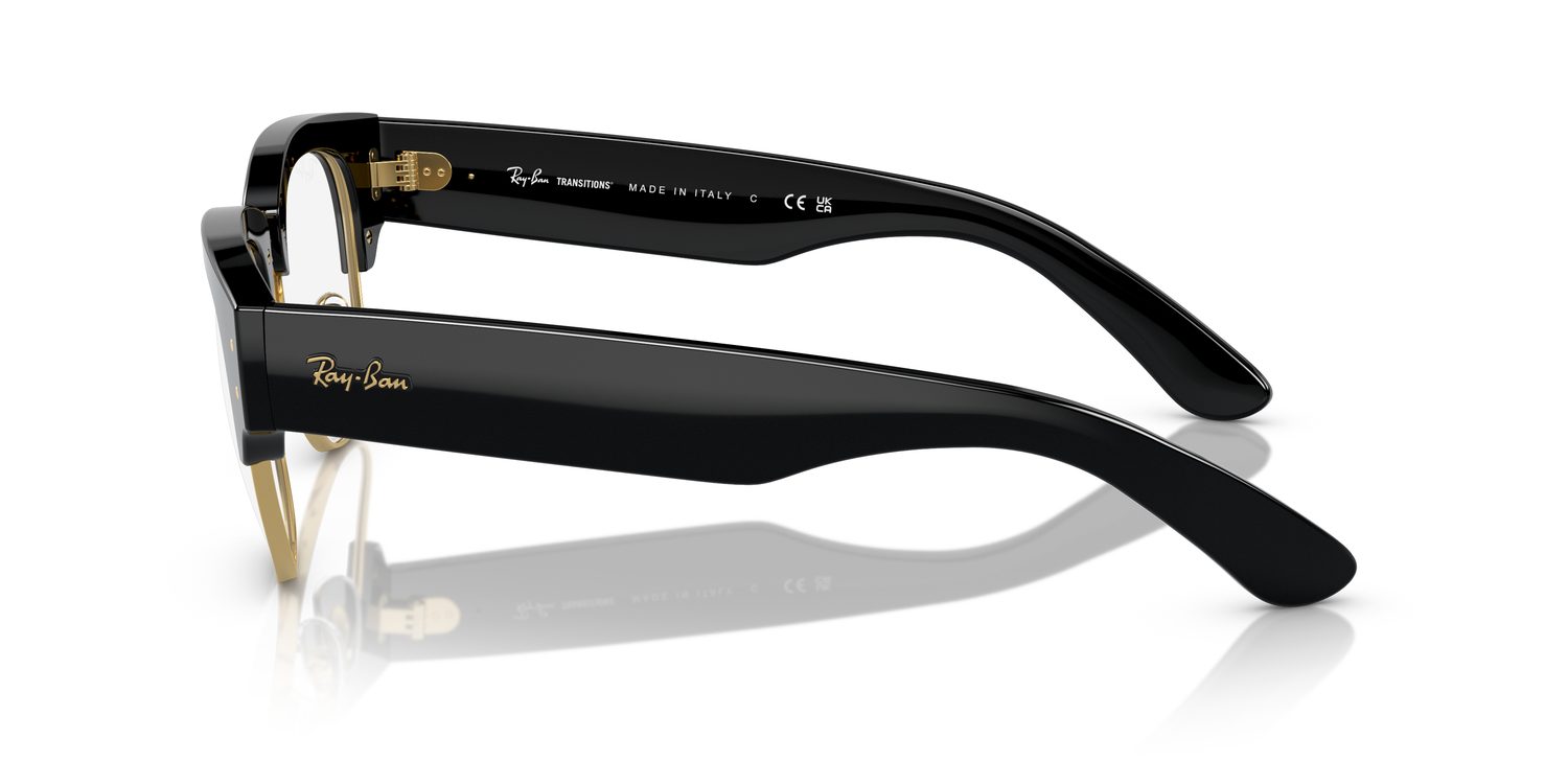 Ray-Ban | 0RB0316S