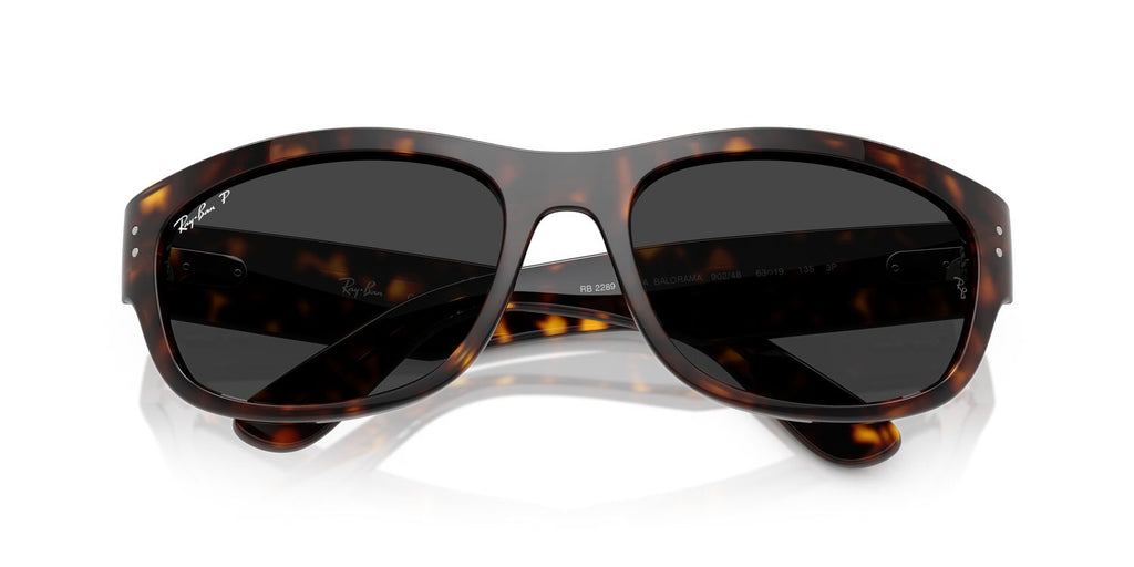 Ray-Ban | 0RB2289