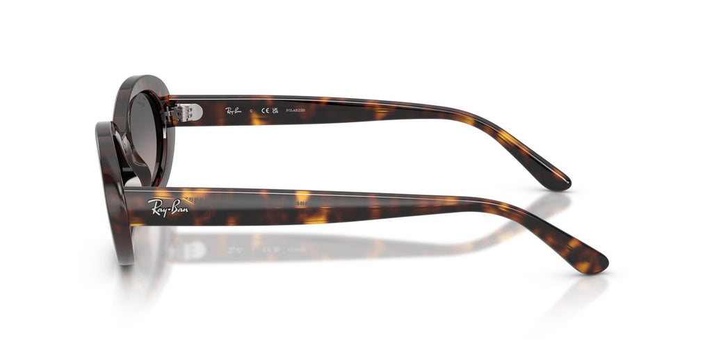 Ray-Ban | 0RB2223