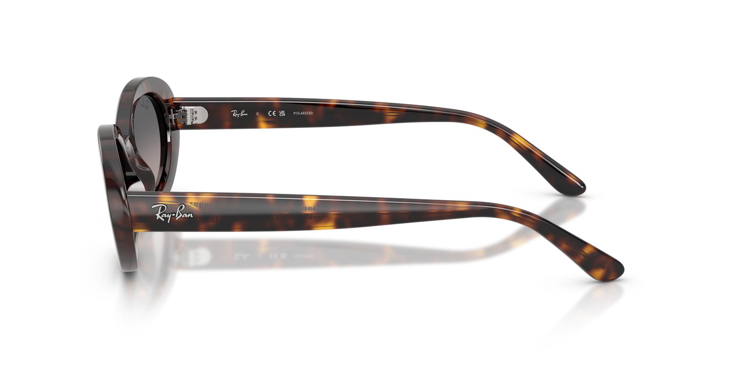 Ray-Ban | 0RB2223
