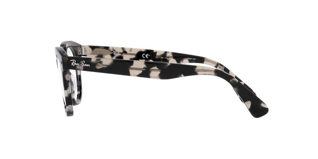 Ray-Ban | 0RX2199V (Orion)