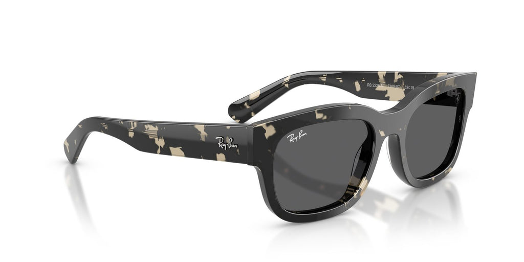 Ray-Ban | 0RB2228M