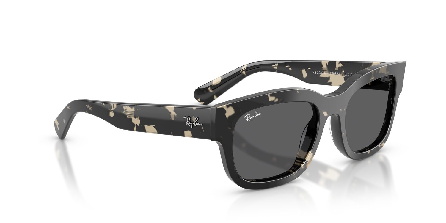 Ray-Ban | 0RB2228M