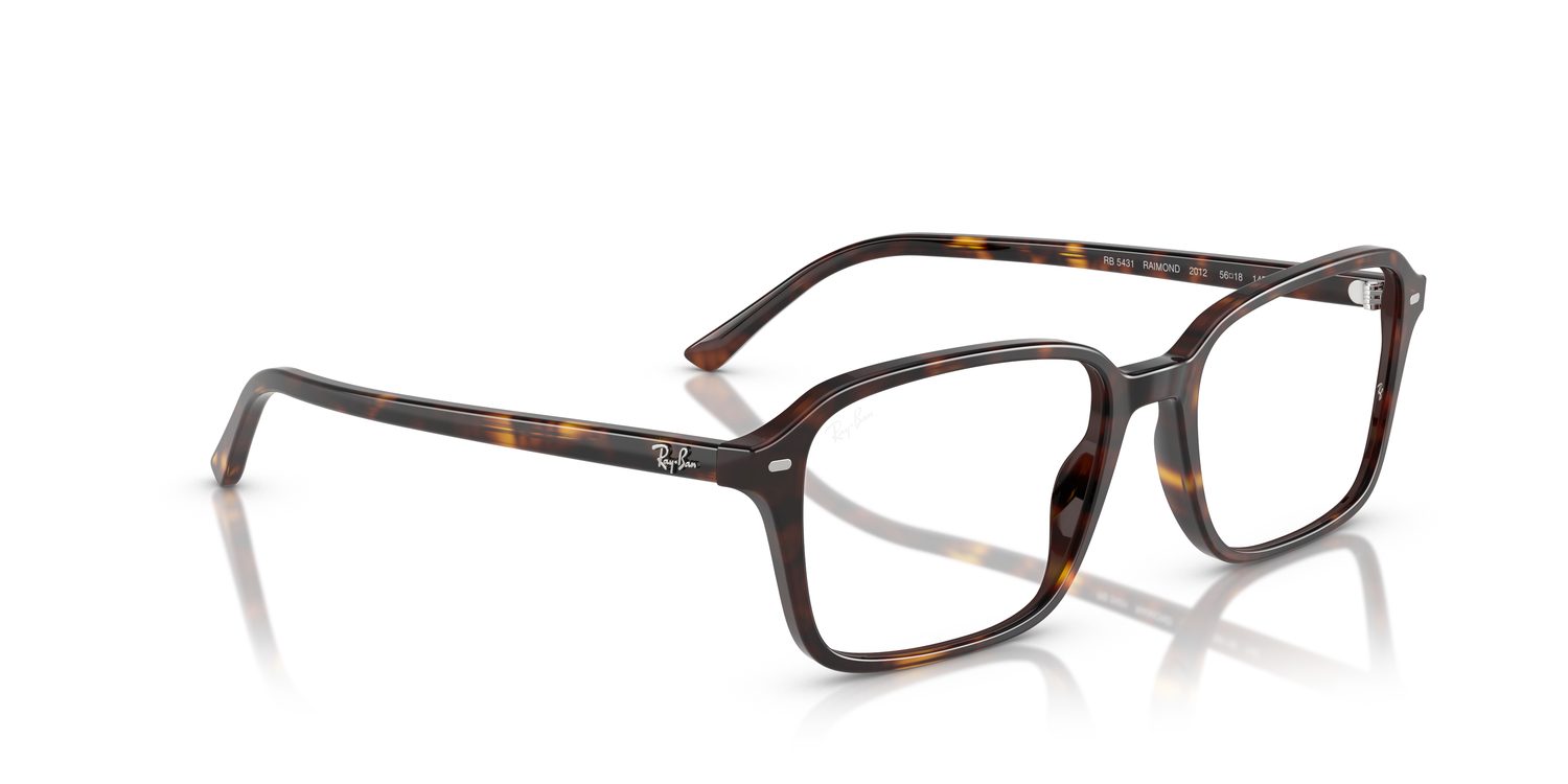 Ray-Ban | 0RX5431 (Raimond)