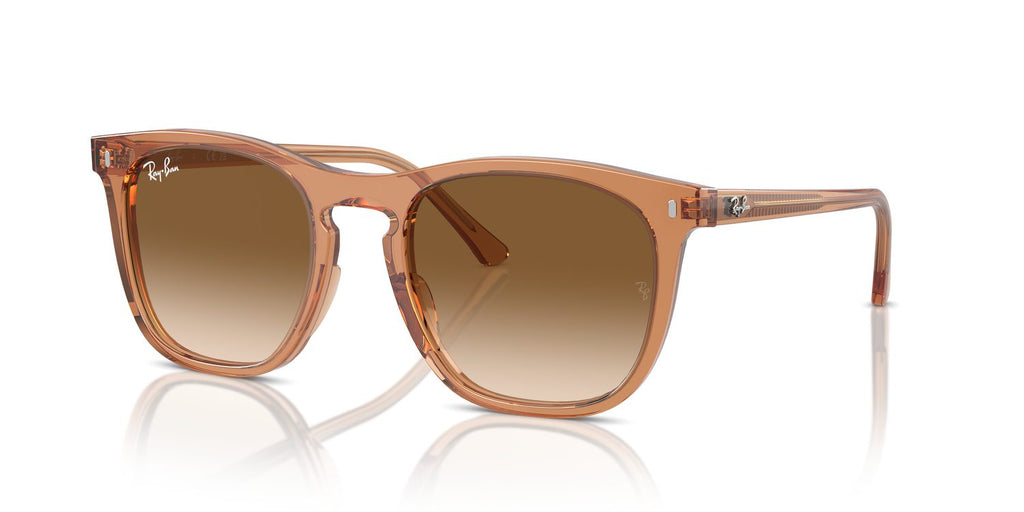 Ray-Ban | 0RB2210