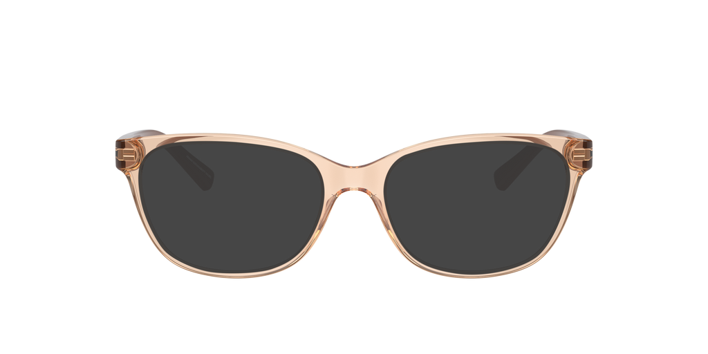 Armani Exchange | 0AX3037