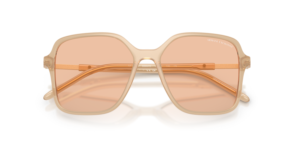 Armani Exchange | 0AX4163S