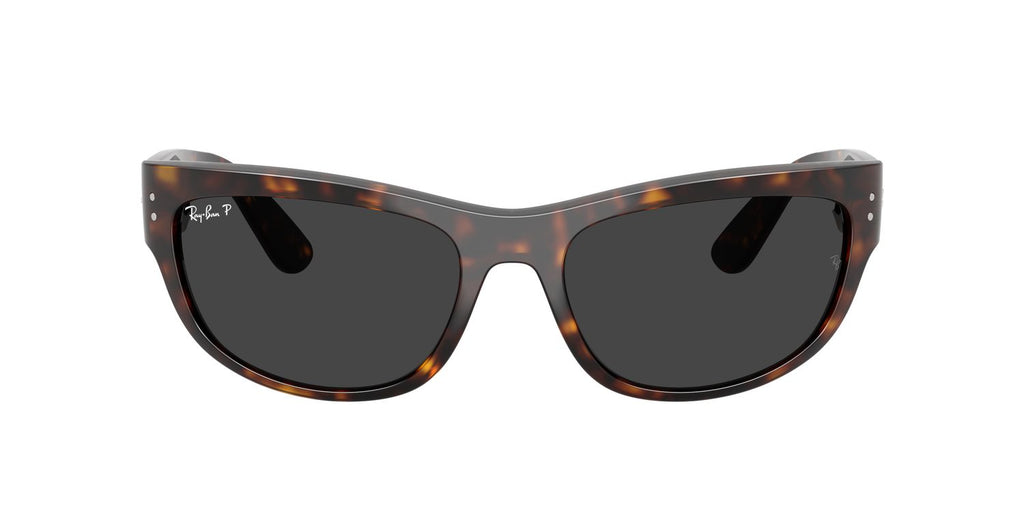 Ray-Ban | 0RB2289