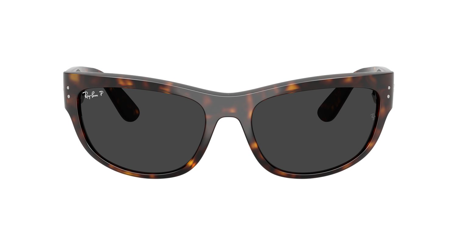 Ray-Ban | 0RB2289