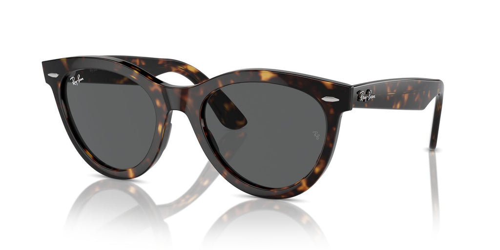 Ray-Ban | 0RB2241