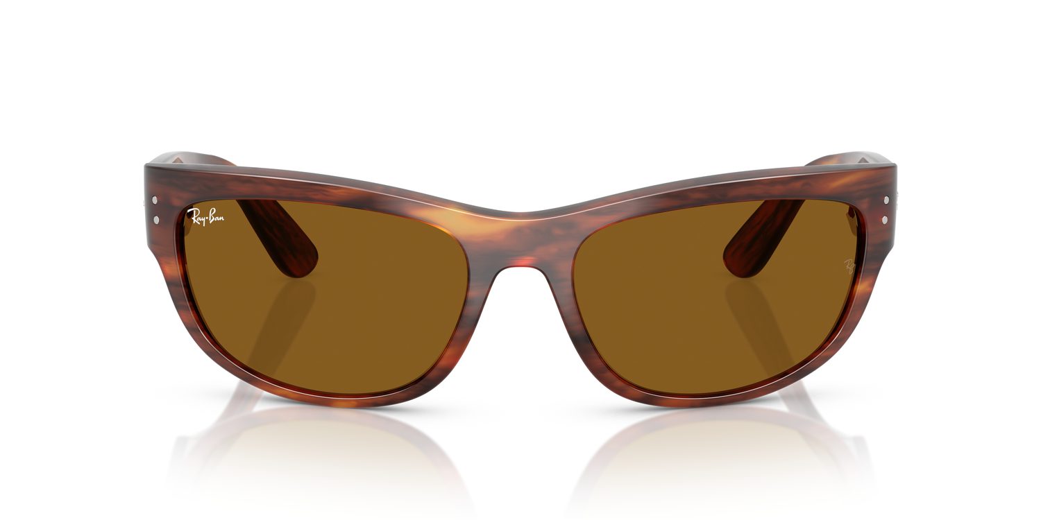 Ray-Ban | 0RB2289