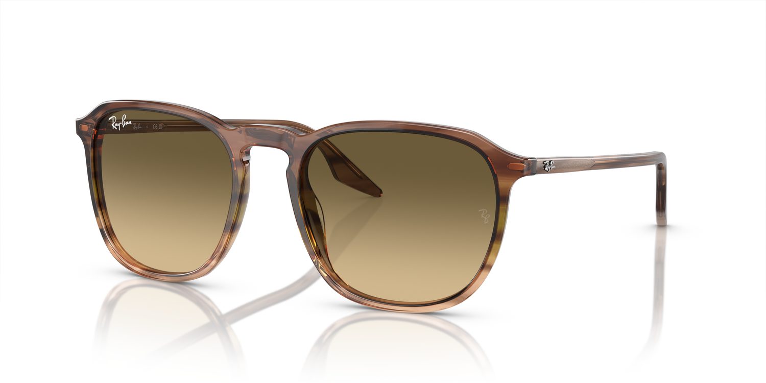 Ray-Ban | 0RB2203