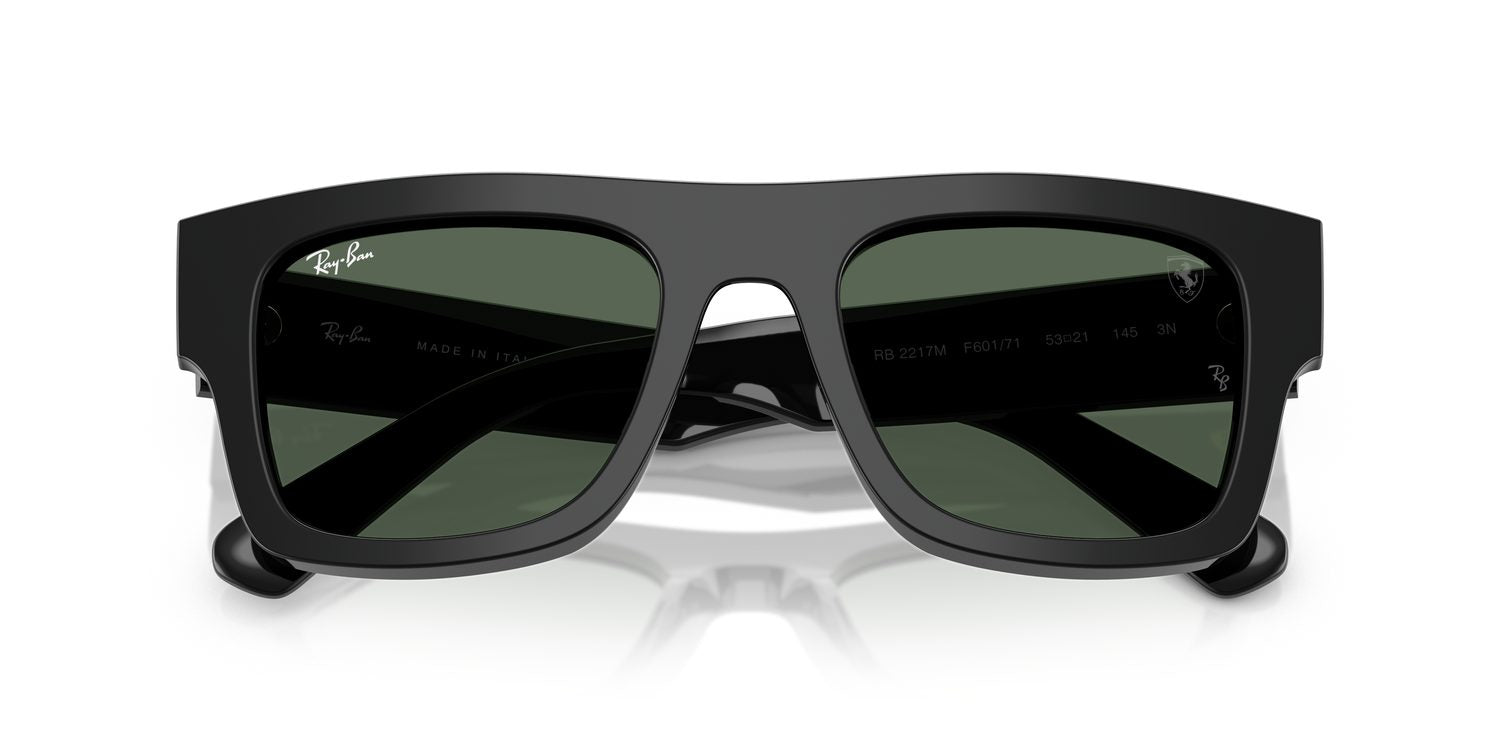 Ray-Ban | 0RB2217M