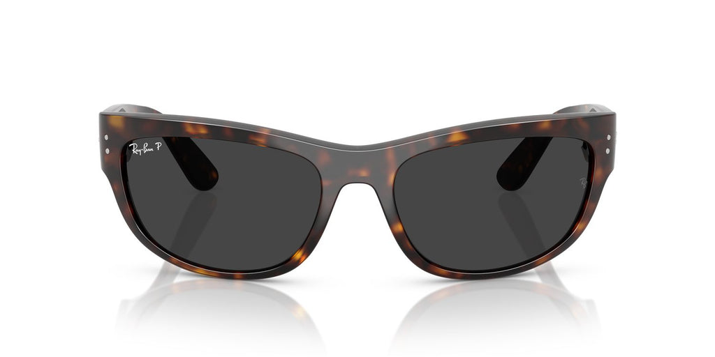Ray-Ban | 0RB2289