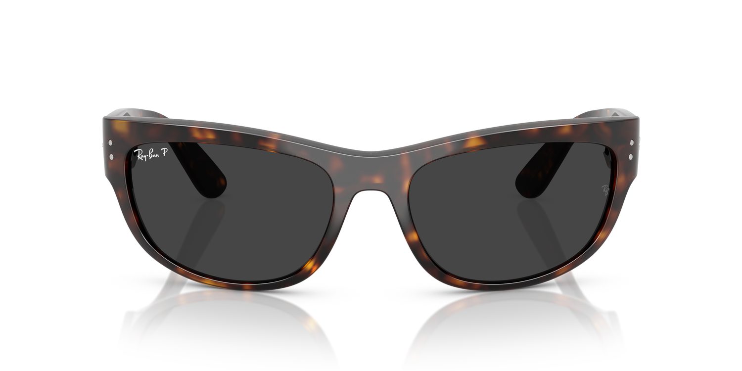 Ray-Ban | 0RB2289