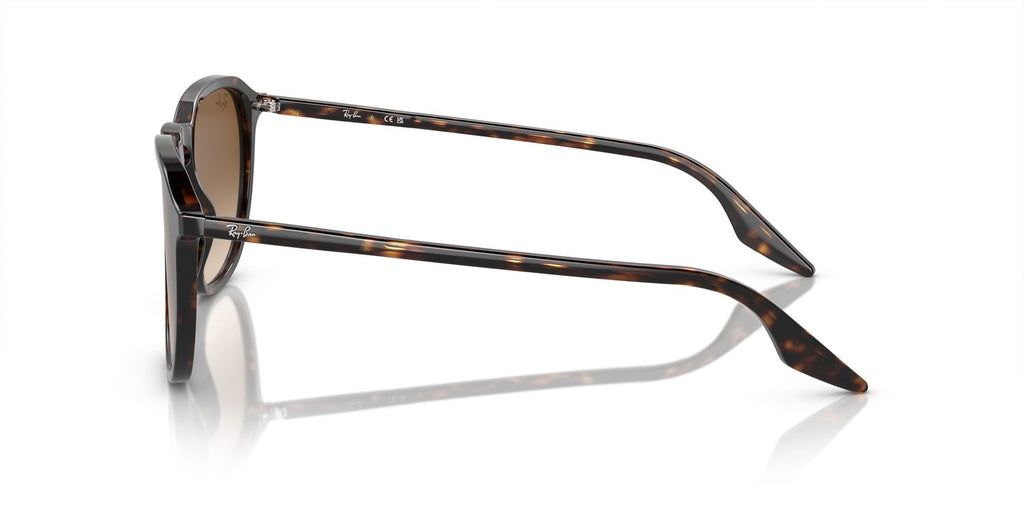 Ray-Ban | 0RB2203