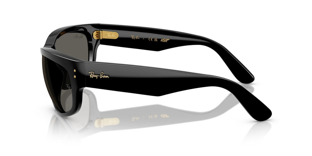 Ray-Ban | 0RB2289