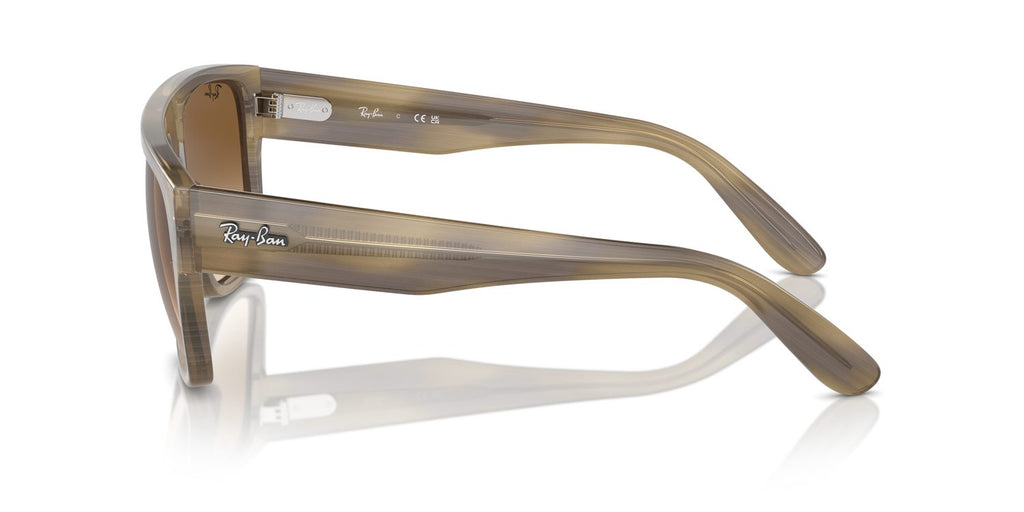 Ray-Ban | 0RB0360S