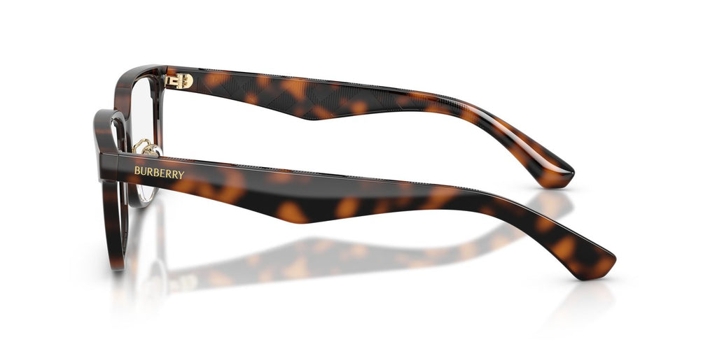 Burberry | 0BE2450D