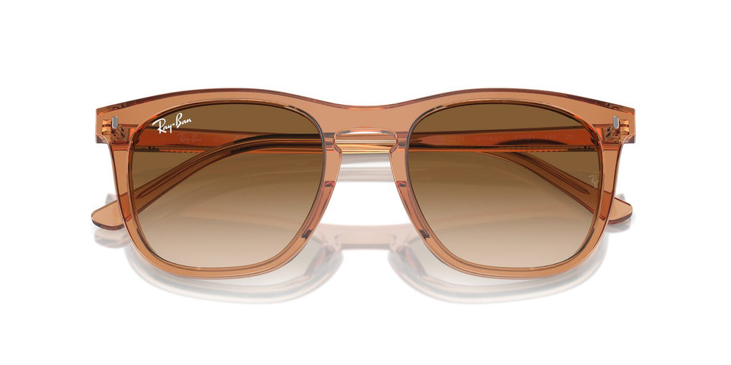 Ray-Ban | 0RB2210