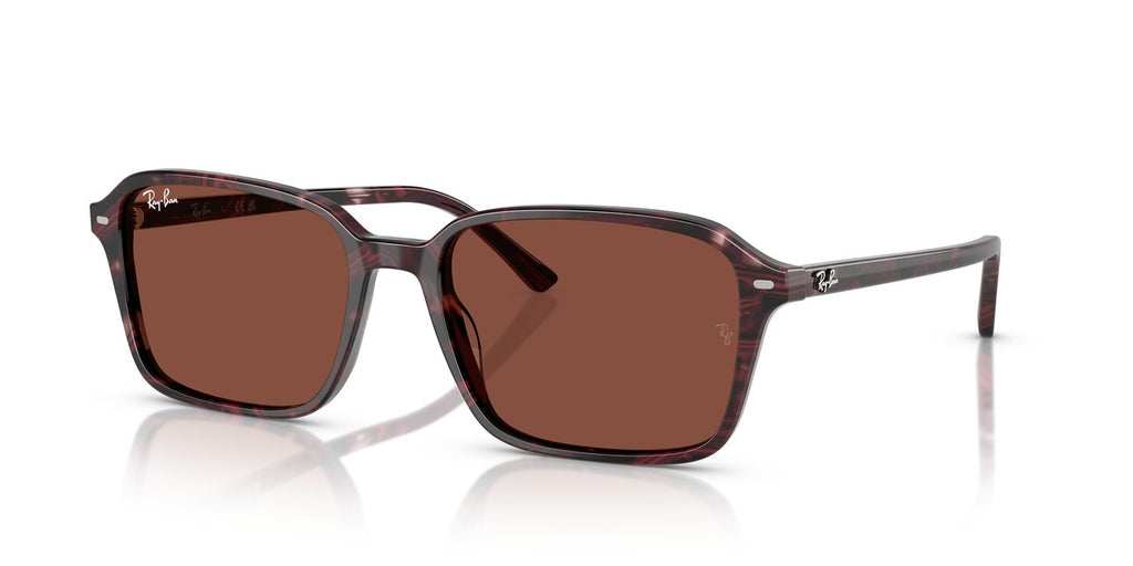Ray-Ban | 0RB2231