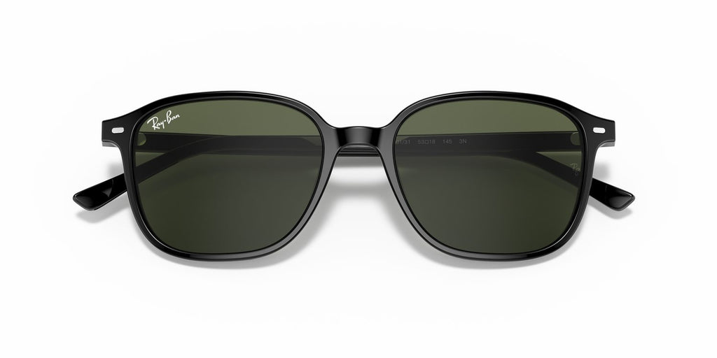 Ray-Ban | 0RB2193