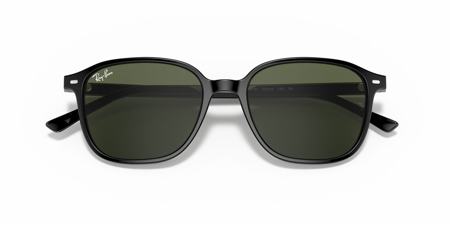 Ray-Ban | 0RB2193