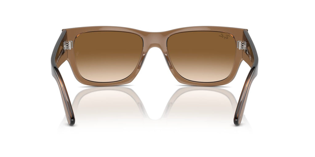Ray-Ban | 0RB0947S